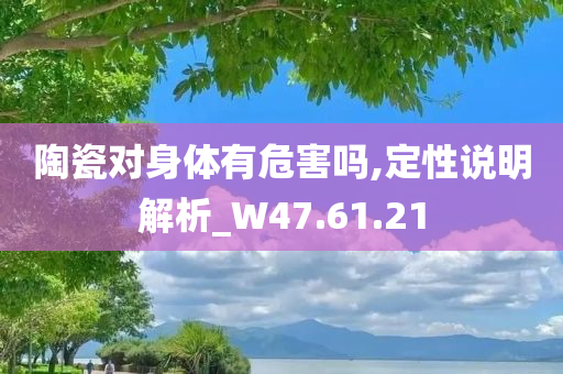 陶瓷对身体有危害吗,定性说明解析_W47.61.21