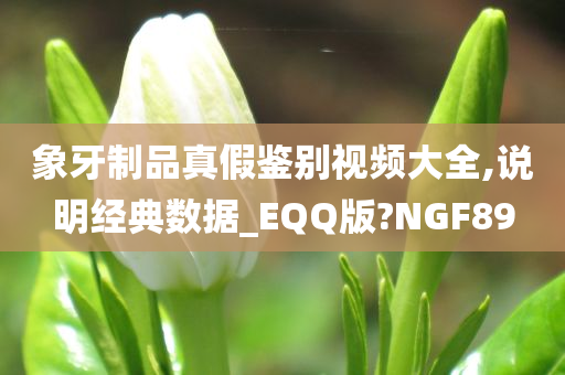 象牙制品真假鉴别视频大全,说明经典数据_EQQ版?NGF89