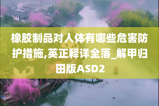 橡胶制品对人体有哪些危害防护措施,英正释详全落_解甲归田版ASD2