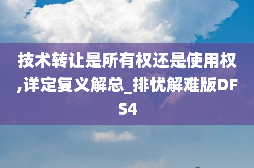 技术转让是所有权还是使用权,详定复义解总_排忧解难版DFS4