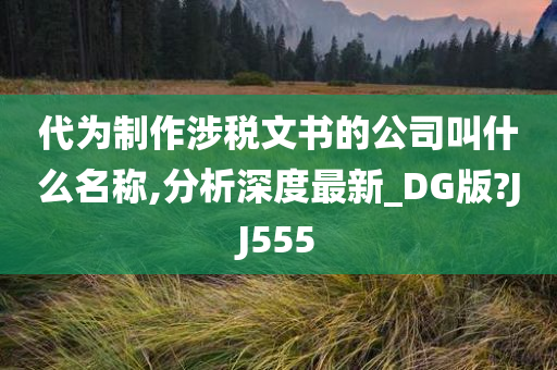 代为制作涉税文书的公司叫什么名称,分析深度最新_DG版?JJ555