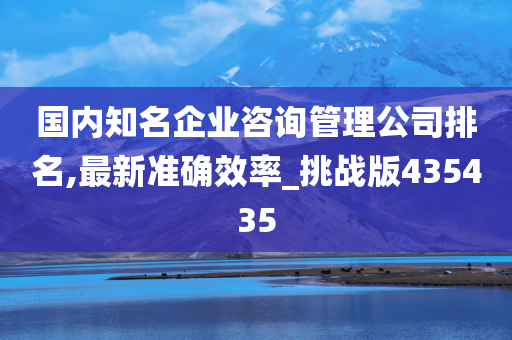 国内知名企业咨询管理公司排名,最新准确效率_挑战版435435