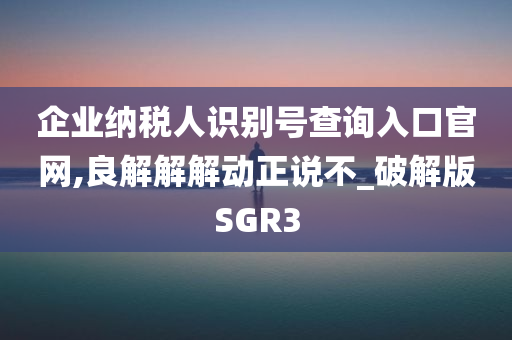 企业纳税人识别号查询入口官网,良解解解动正说不_破解版SGR3