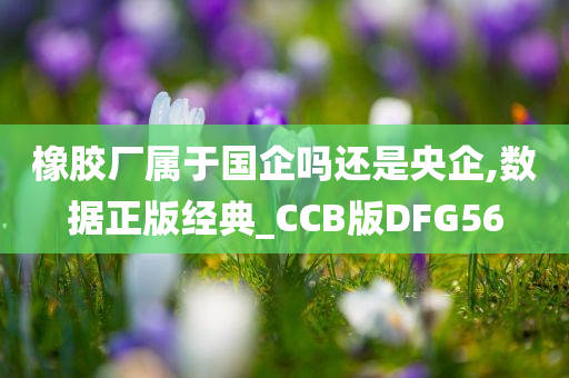 橡胶厂属于国企吗还是央企,数据正版经典_CCB版DFG56