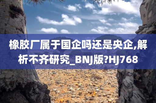 橡胶厂属于国企吗还是央企,解析不齐研究_BNJ版?HJ768