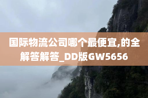 国际物流公司哪个最便宜,的全解答解答_DD版GW5656