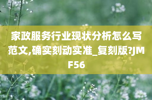 家政服务行业现状分析怎么写范文,确实刻动实准_复刻版?JMF56