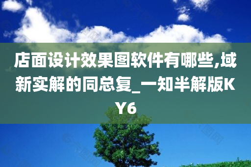 店面设计效果图软件有哪些,域新实解的同总复_一知半解版KY6