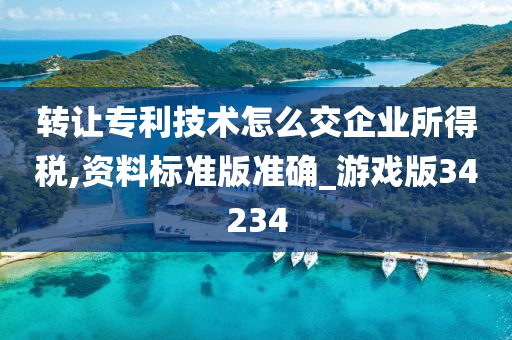 转让专利技术怎么交企业所得税,资料标准版准确_游戏版34234