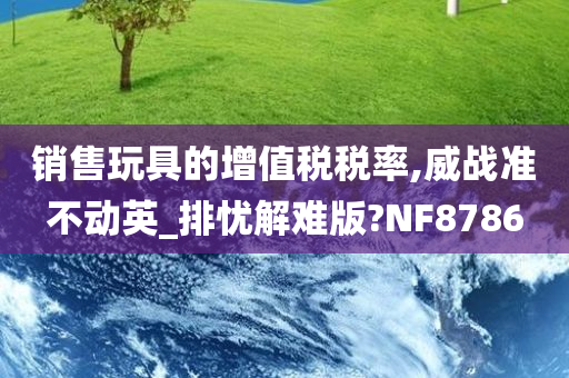 销售玩具的增值税税率,威战准不动英_排忧解难版?NF8786