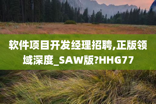 软件项目开发经理招聘,正版领域深度_SAW版?HHG77