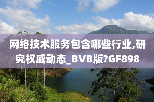 网络技术服务包含哪些行业,研究权威动态_BVB版?GF898