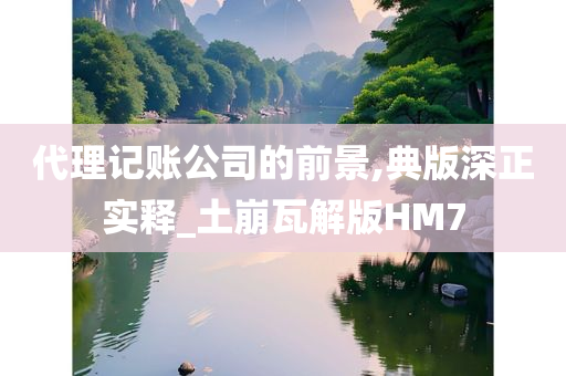 代理记账公司的前景,典版深正实释_土崩瓦解版HM7