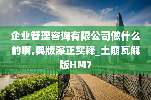 企业管理咨询有限公司做什么的啊,典版深正实释_土崩瓦解版HM7