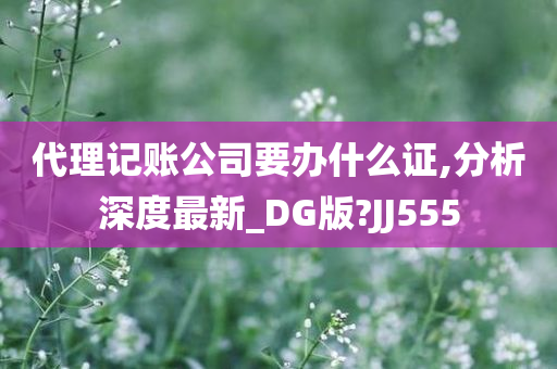 代理记账公司要办什么证,分析深度最新_DG版?JJ555