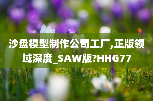 沙盘模型制作公司工厂,正版领域深度_SAW版?HHG77