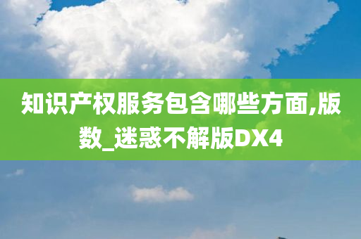 知识产权服务包含哪些方面,版数_迷惑不解版DX4