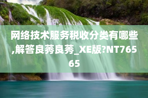 网络技术服务税收分类有哪些,解答良莠良莠_XE版?NT76565