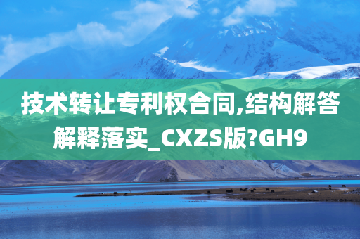 技术转让专利权合同,结构解答解释落实_CXZS版?GH9