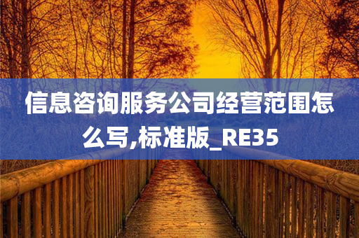 信息咨询服务公司经营范围怎么写,标准版_RE35