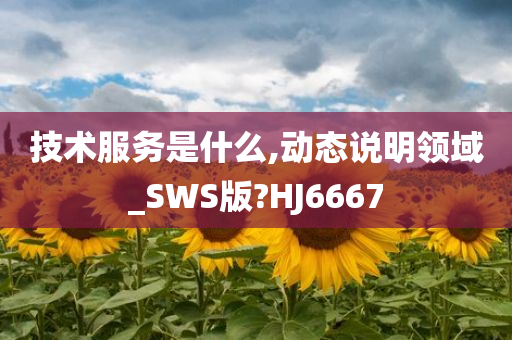 技术服务是什么,动态说明领域_SWS版?HJ6667