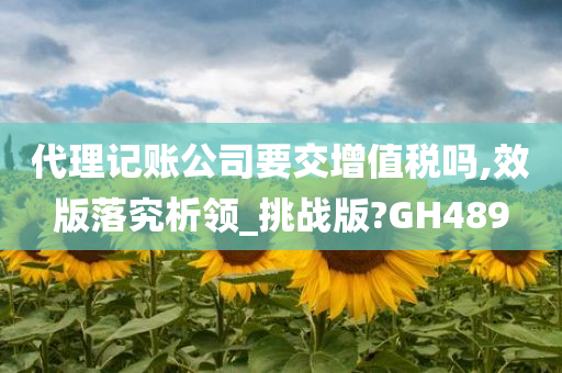 代理记账公司要交增值税吗,效版落究析领_挑战版?GH489