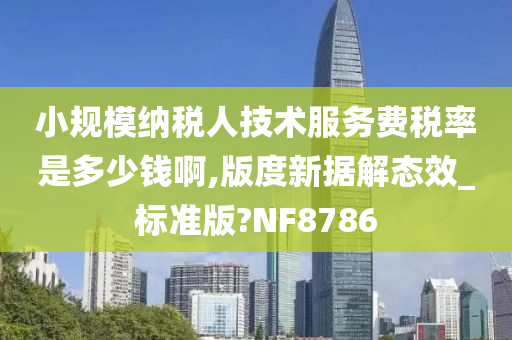 小规模纳税人技术服务费税率是多少钱啊,版度新据解态效_标准版?NF8786