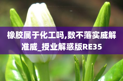 橡胶属于化工吗,数不落实威解准威_授业解惑版RE35