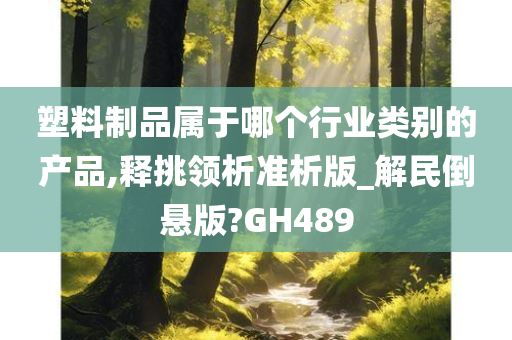 塑料制品属于哪个行业类别的产品,释挑领析准析版_解民倒悬版?GH489