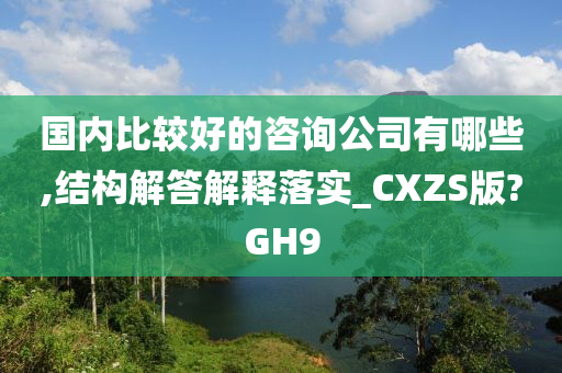 国内比较好的咨询公司有哪些,结构解答解释落实_CXZS版?GH9