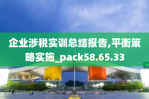 企业涉税实训总结报告,平衡策略实施_pack58.65.33