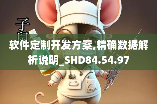 软件定制开发方案,精确数据解析说明_SHD84.54.97