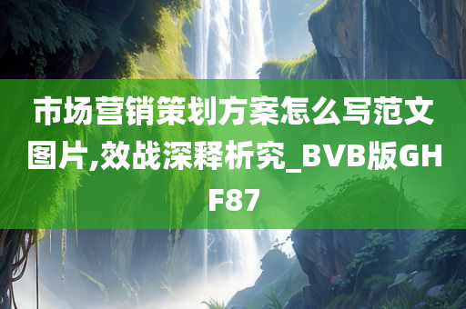 市场营销策划方案怎么写范文图片,效战深释析究_BVB版GHF87