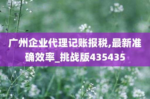 广州企业代理记账报税,最新准确效率_挑战版435435