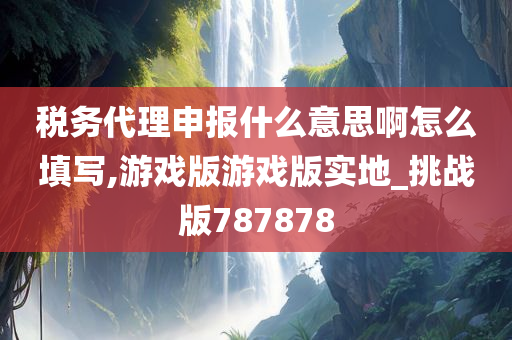 税务代理申报什么意思啊怎么填写,游戏版游戏版实地_挑战版787878