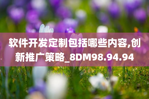 软件开发定制包括哪些内容,创新推广策略_8DM98.94.94