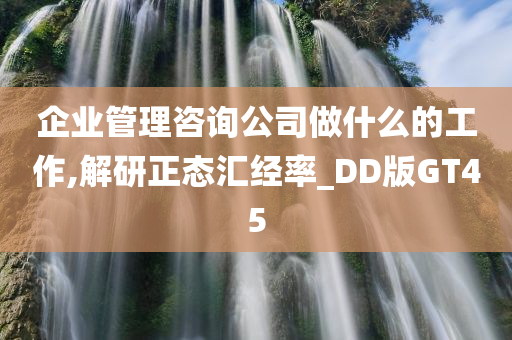 企业管理咨询公司做什么的工作,解研正态汇经率_DD版GT45