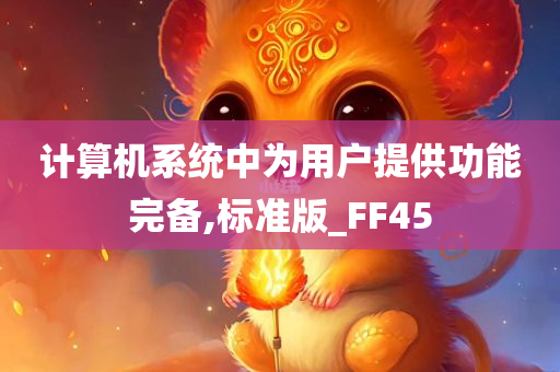 计算机系统中为用户提供功能完备,标准版_FF45