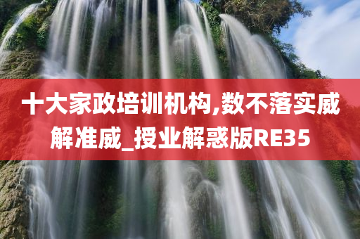 十大家政培训机构,数不落实威解准威_授业解惑版RE35