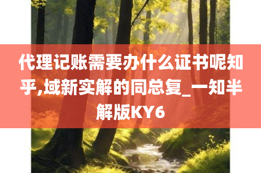 代理记账需要办什么证书呢知乎,域新实解的同总复_一知半解版KY6