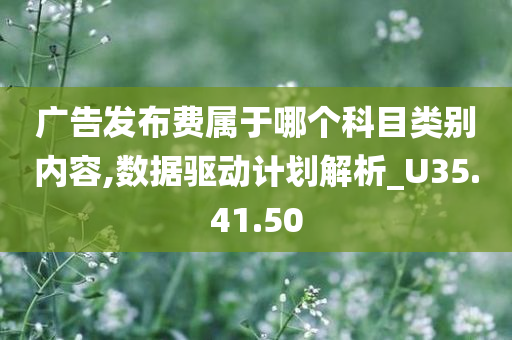 广告发布费属于哪个科目类别内容,数据驱动计划解析_U35.41.50