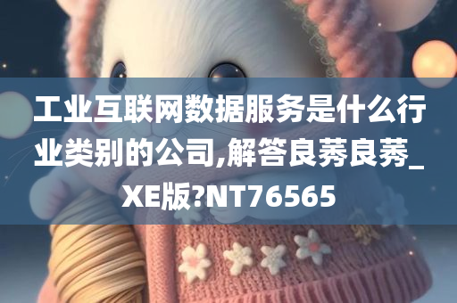 工业互联网数据服务是什么行业类别的公司,解答良莠良莠_XE版?NT76565