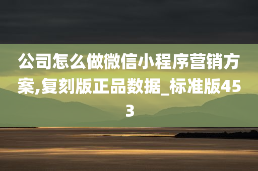 公司怎么做微信小程序营销方案,复刻版正品数据_标准版453