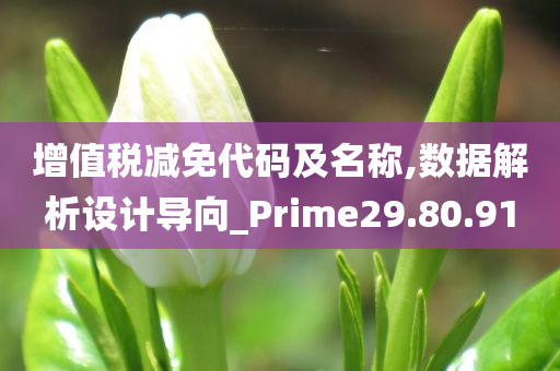 增值税减免代码及名称,数据解析设计导向_Prime29.80.91