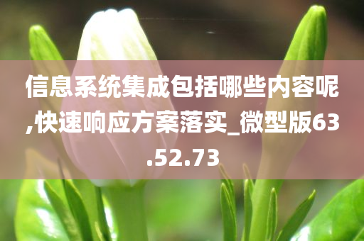 信息系统集成包括哪些内容呢,快速响应方案落实_微型版63.52.73