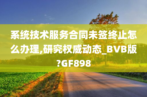 系统技术服务合同未签终止怎么办理,研究权威动态_BVB版?GF898