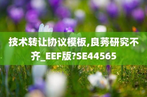 技术转让协议模板,良莠研究不齐_EEF版?SE44565