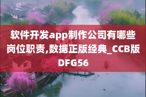 软件开发app制作公司有哪些岗位职责,数据正版经典_CCB版DFG56