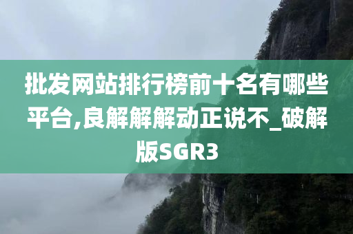 批发网站排行榜前十名有哪些平台,良解解解动正说不_破解版SGR3