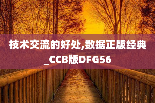 技术交流的好处,数据正版经典_CCB版DFG56